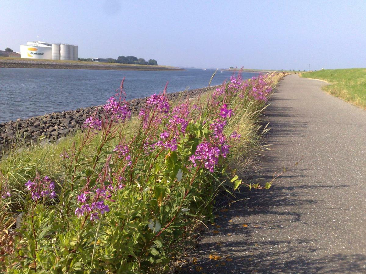 Middensluis Vakantiehuis Wemeldinge Kültér fotó